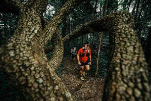 BIB: 
                            <button type="button" onclick="openModal(25668967)" class="btn btn-primary btn-sm float-right btn-popup" data-toggle="modal" data-target=".modal-high-quality">
                        <i class="fas fa-shopping-cart"></i> Add to Cart
                    </button>
                                            <button type="button" onclick="isThisMe(25668967, true)" class="btn btn-success btn-sm float-right btn-popup btn-isme hidden" data-toggle="tooltip" data-placement="bottom" title="นี่คือรูปของคุณใช่ไหม คลิกที่นี่เพื่อเอาเข้าอัลบั้ม">
                        <i class="fas fa-plus"></i> Add to album
                    </button>
                    <button type="button" onclick="isThisMe(25668967, false)" class="btn btn-warning btn-sm float-right btn-popup btn-isnotme hidden">
                        <i class="fas fa-ban"></i> Remove from album
                    </button>